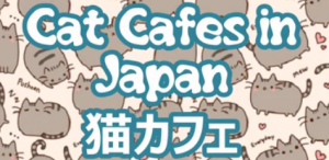 Cat Cafes in Japan