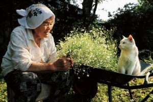 old-woman-and-cat-09-e1353009538909