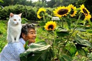 old-woman-and-cat-14-e1353009982782
