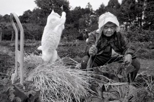 old-woman-and-cat-21-e1353009685524
