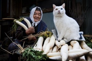 old-woman-and-cat-25-e1353010117140