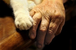 old-woman-and-cat-28-e1353010196811